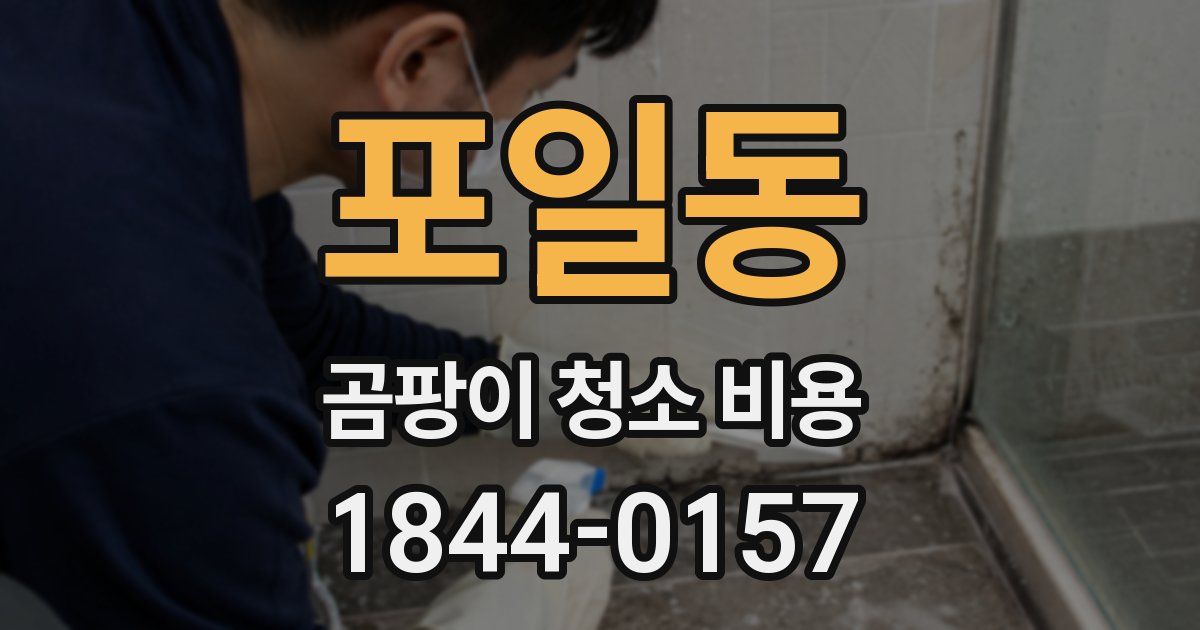 포일동 곰팡이 청소 비용