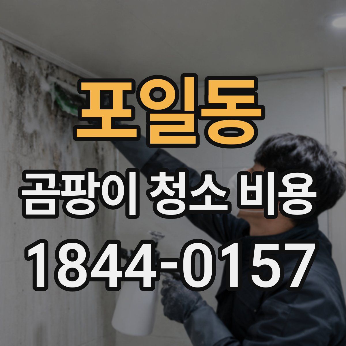 포일동 곰팡이 청소 비용