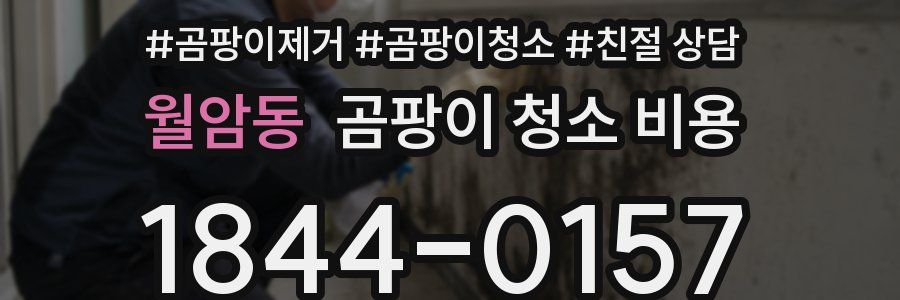 월암동 곰팡이 청소 비용