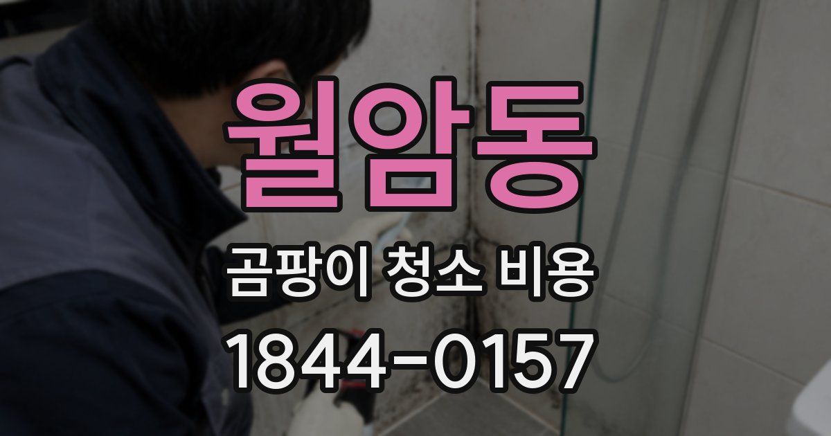 월암동 곰팡이 청소 비용