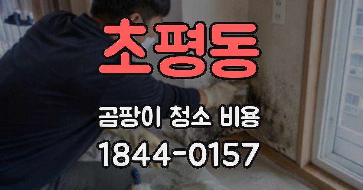 초평동 곰팡이 청소 비용