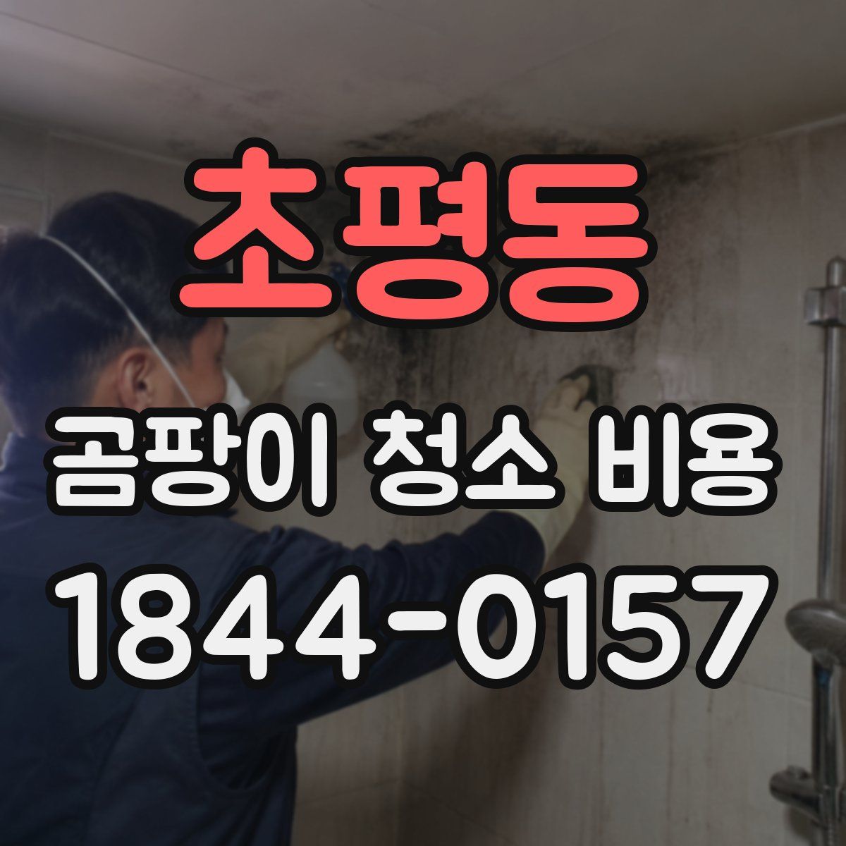 초평동 곰팡이 청소 비용