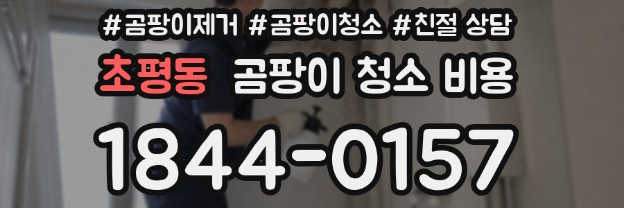 초평동 곰팡이 청소 비용