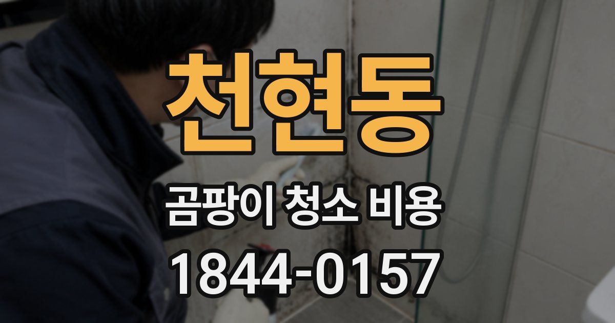 천현동 곰팡이 청소 비용