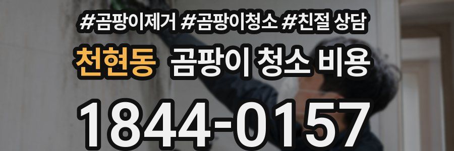 천현동 곰팡이 청소 비용