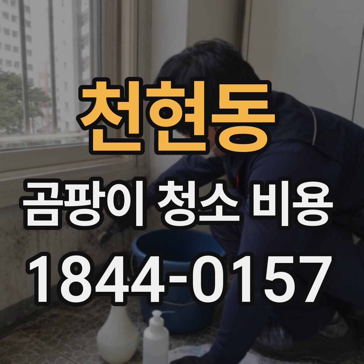 천현동 곰팡이 청소 비용