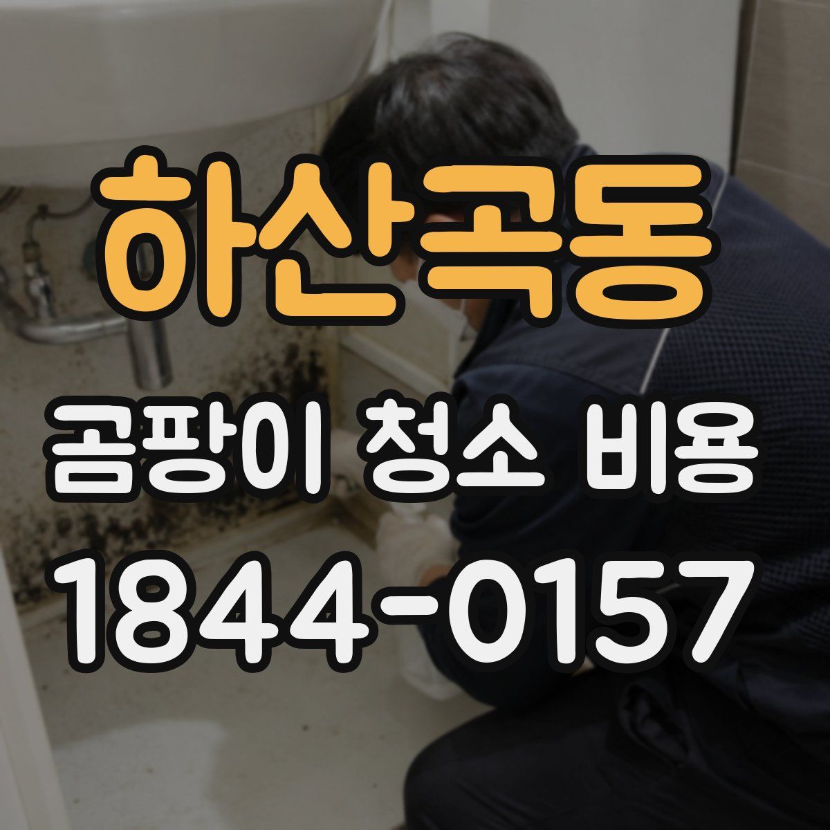 하산곡동 곰팡이 청소 비용