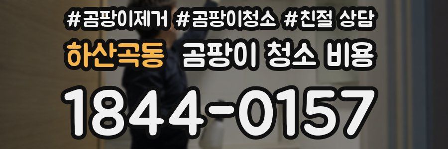 하산곡동 곰팡이 청소 비용