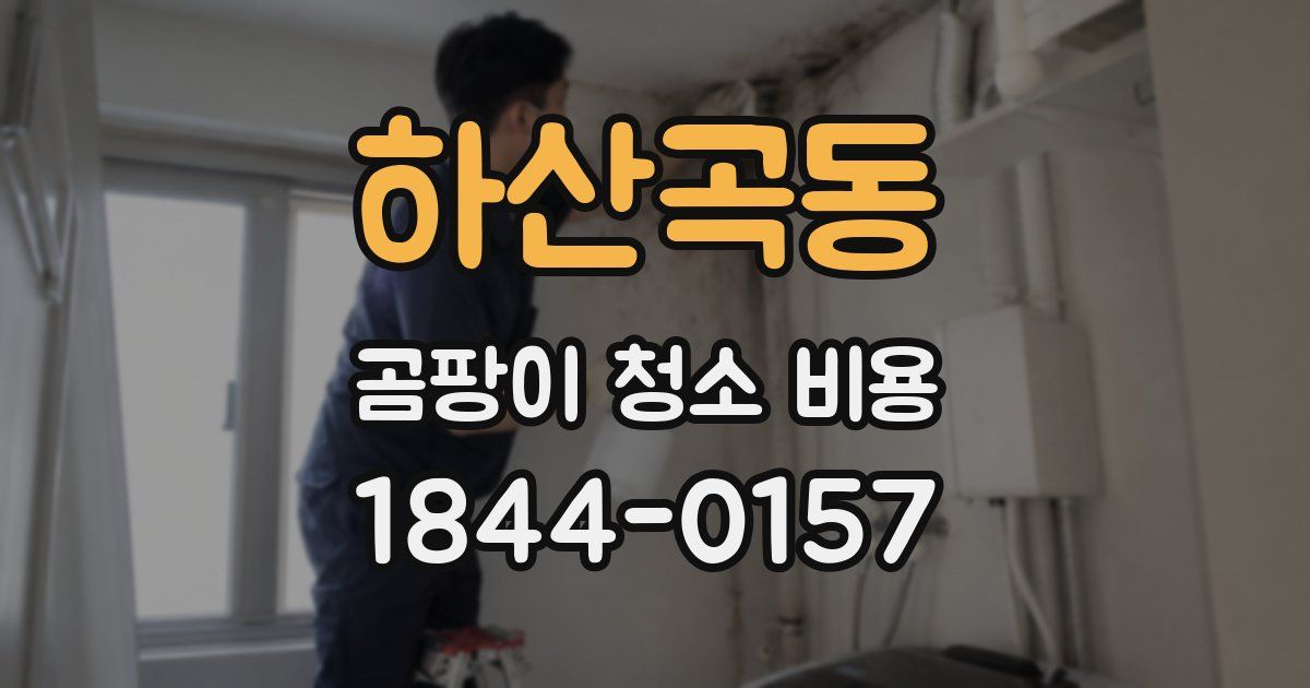 하산곡동 곰팡이 청소 비용