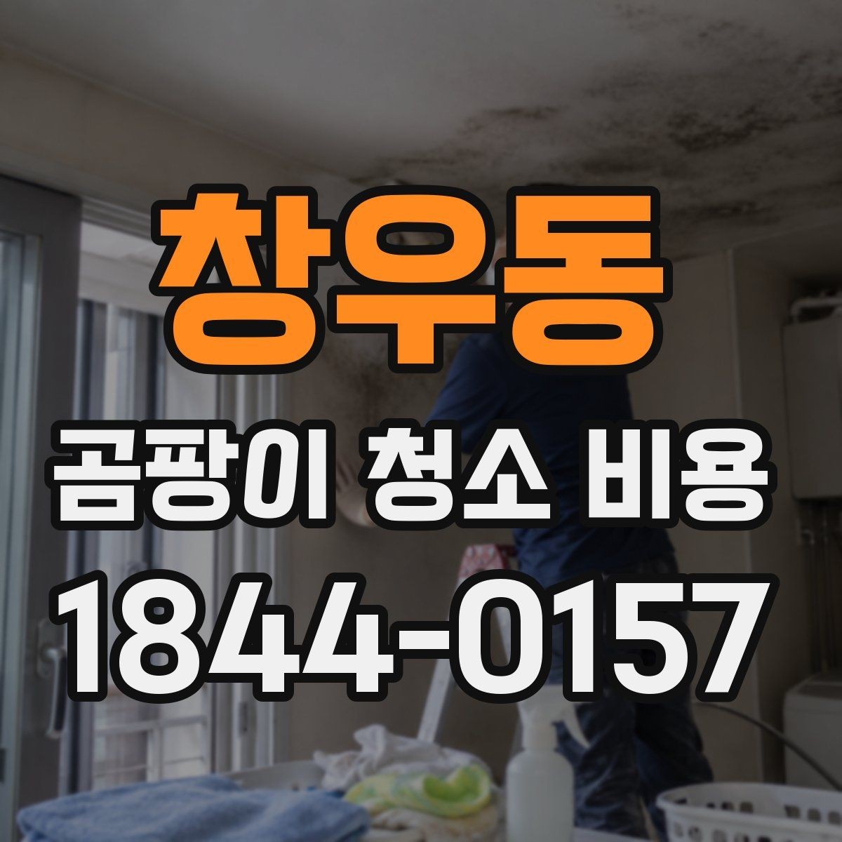 창우동 곰팡이 청소 비용 문의가 많아지는 계절별 이유