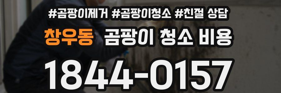 창우동 곰팡이 청소 비용