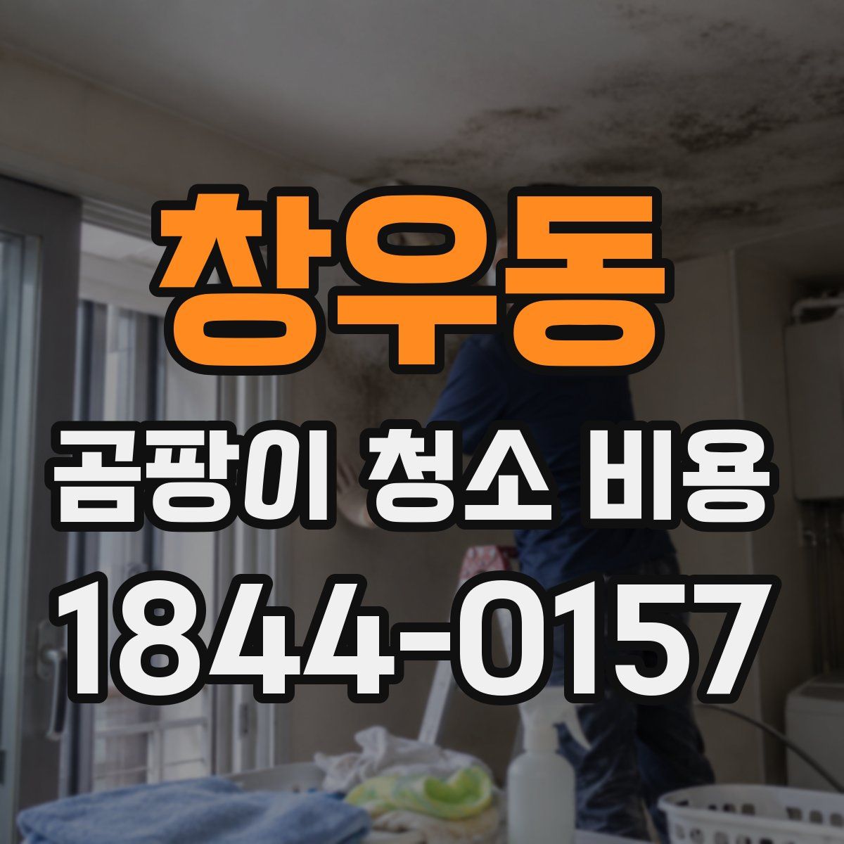 창우동 곰팡이 청소 비용