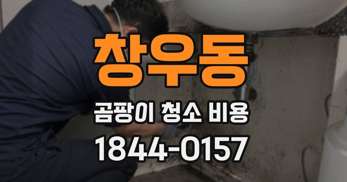 창우동 곰팡이 청소 비용
