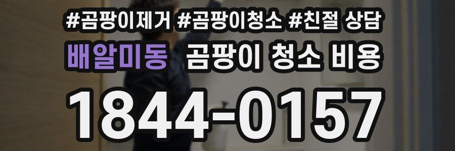 배알미동 곰팡이 청소 비용