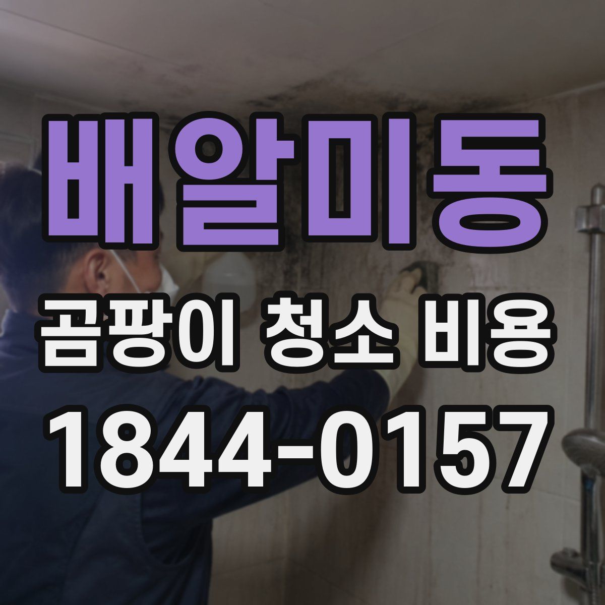 배알미동 곰팡이 청소 비용