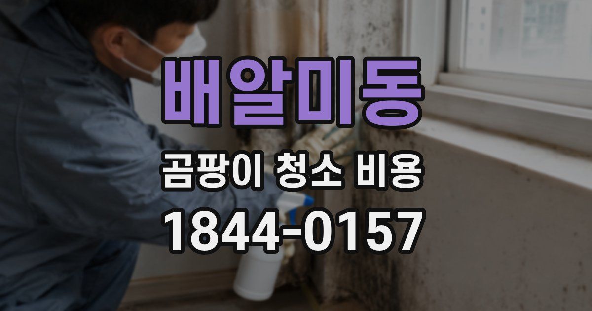 배알미동 곰팡이 청소 비용
