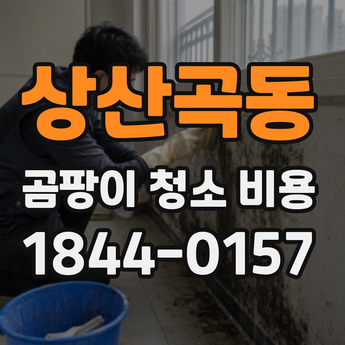 상산곡동 곰팡이 청소 비용