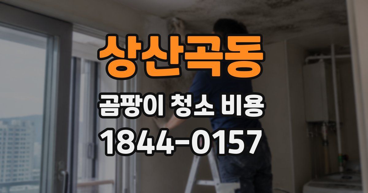 상산곡동 곰팡이 청소 비용