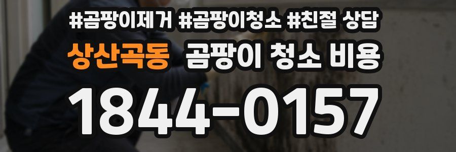 상산곡동 곰팡이 청소 비용