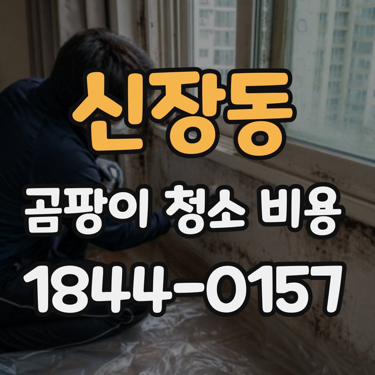 신장동 곰팡이 청소 비용