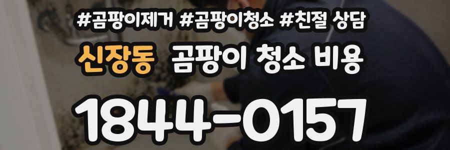 신장동 곰팡이 청소 비용