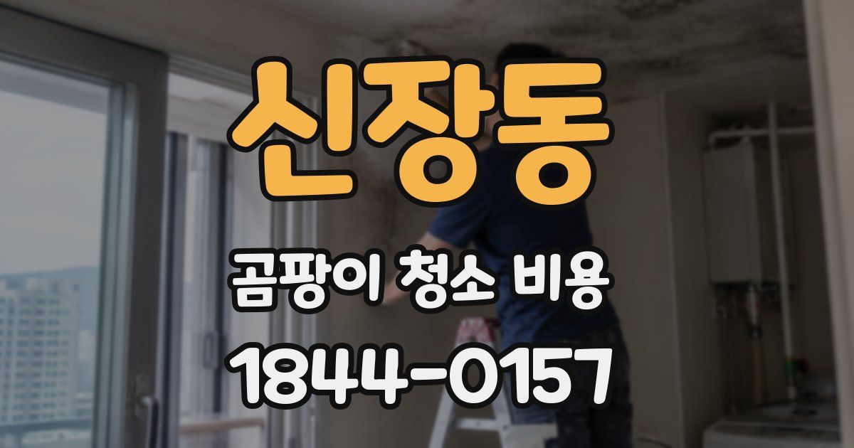 신장동 곰팡이 청소 비용