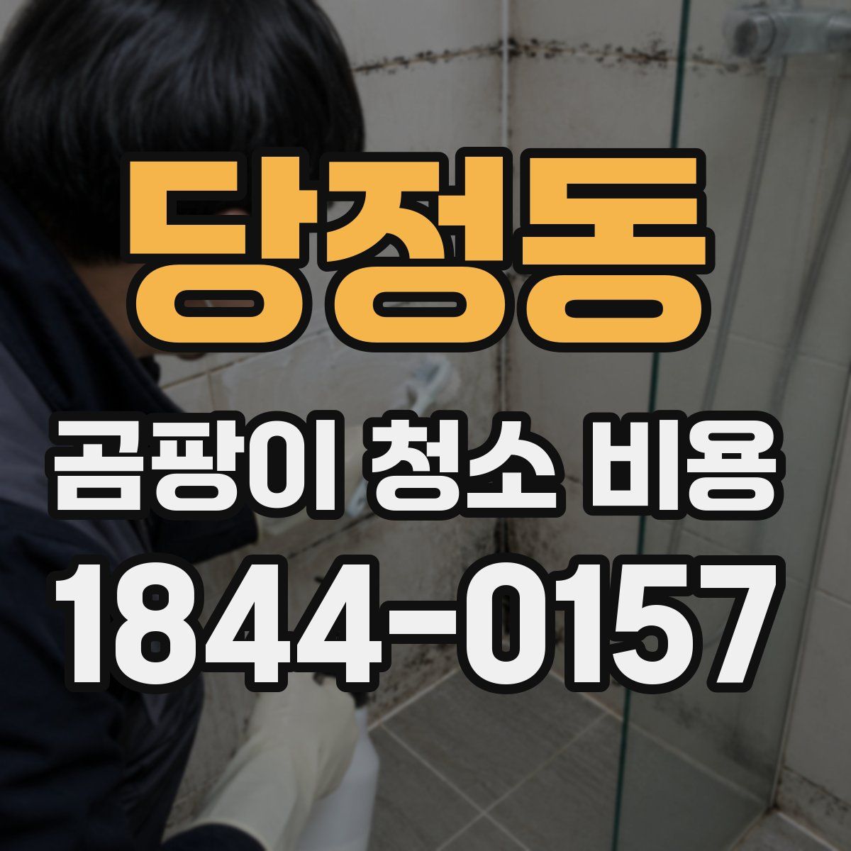당정동 곰팡이 청소 비용