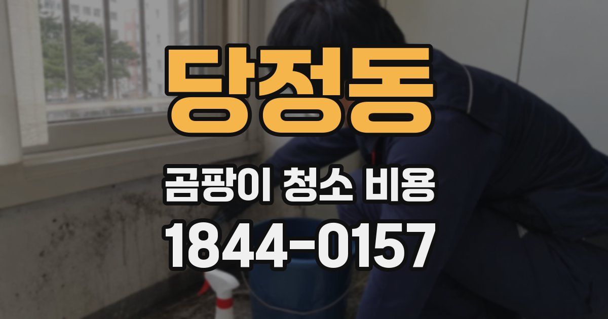 당정동 곰팡이 청소 비용