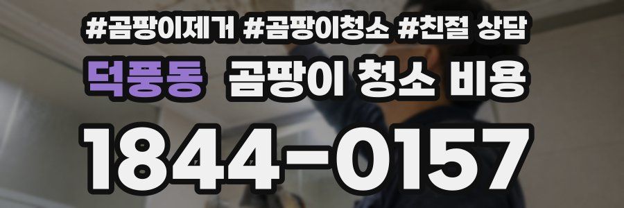 덕풍동 곰팡이 청소 비용