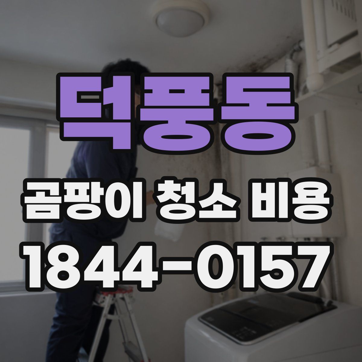 덕풍동 곰팡이 청소 비용