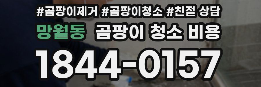 망월동 곰팡이 청소 비용