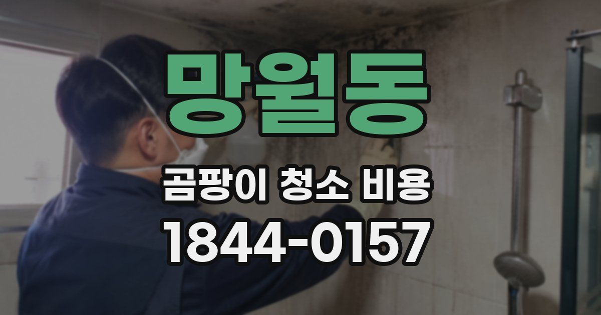 망월동 곰팡이 청소 비용