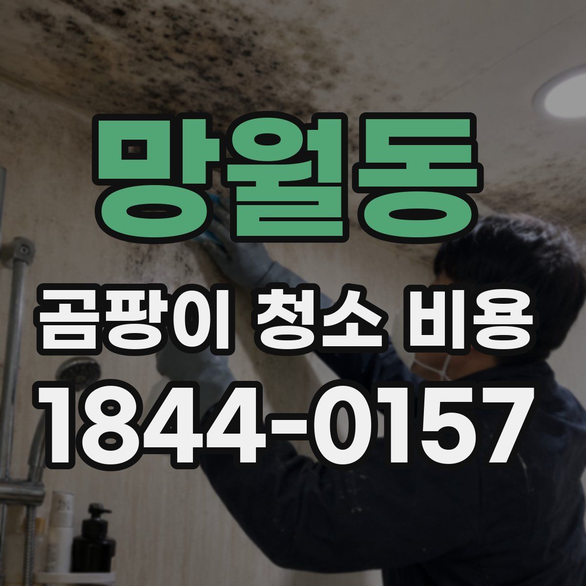 망월동 곰팡이 청소 비용