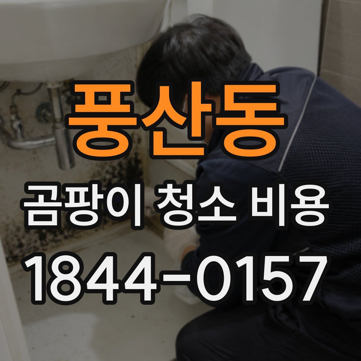 풍산동 곰팡이 청소 비용