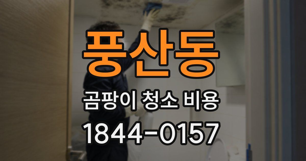풍산동 곰팡이 청소 비용