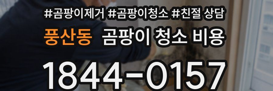 풍산동 곰팡이 청소 비용