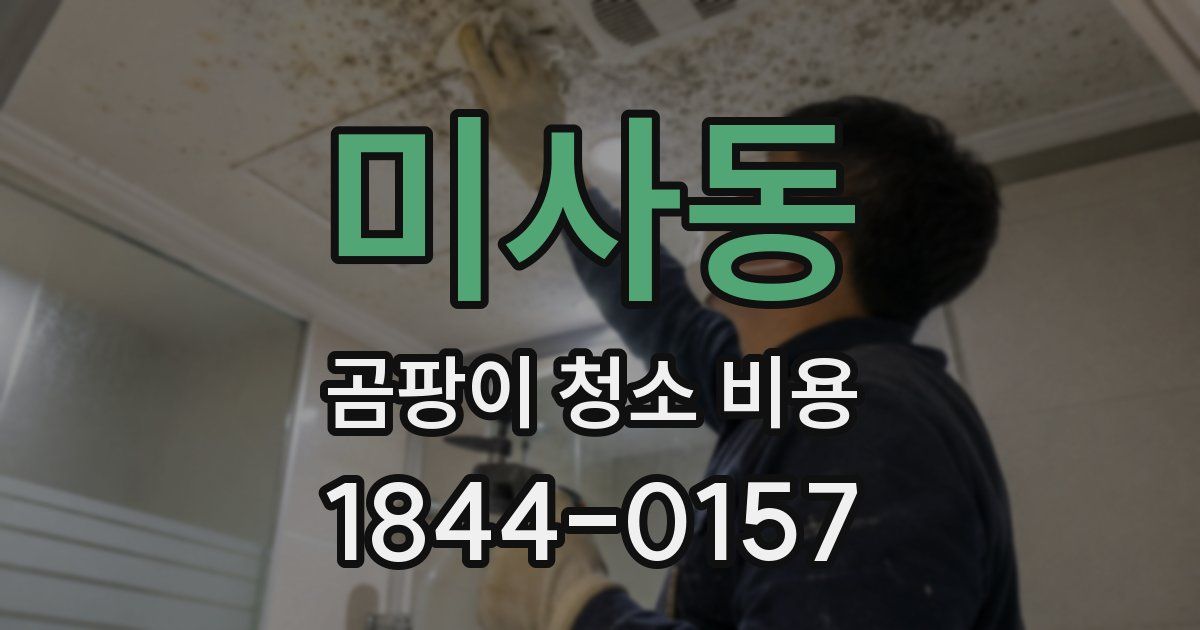 미사동 곰팡이 청소 비용