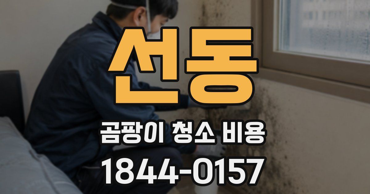 선동 곰팡이 청소 비용