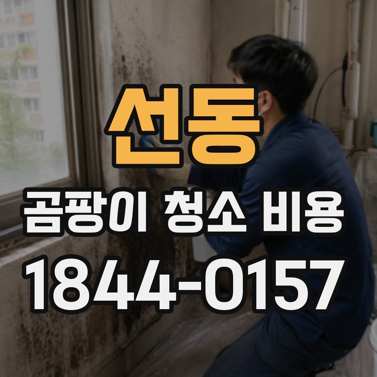 선동 곰팡이 청소 비용