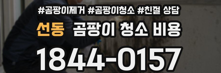 선동 곰팡이 청소 비용