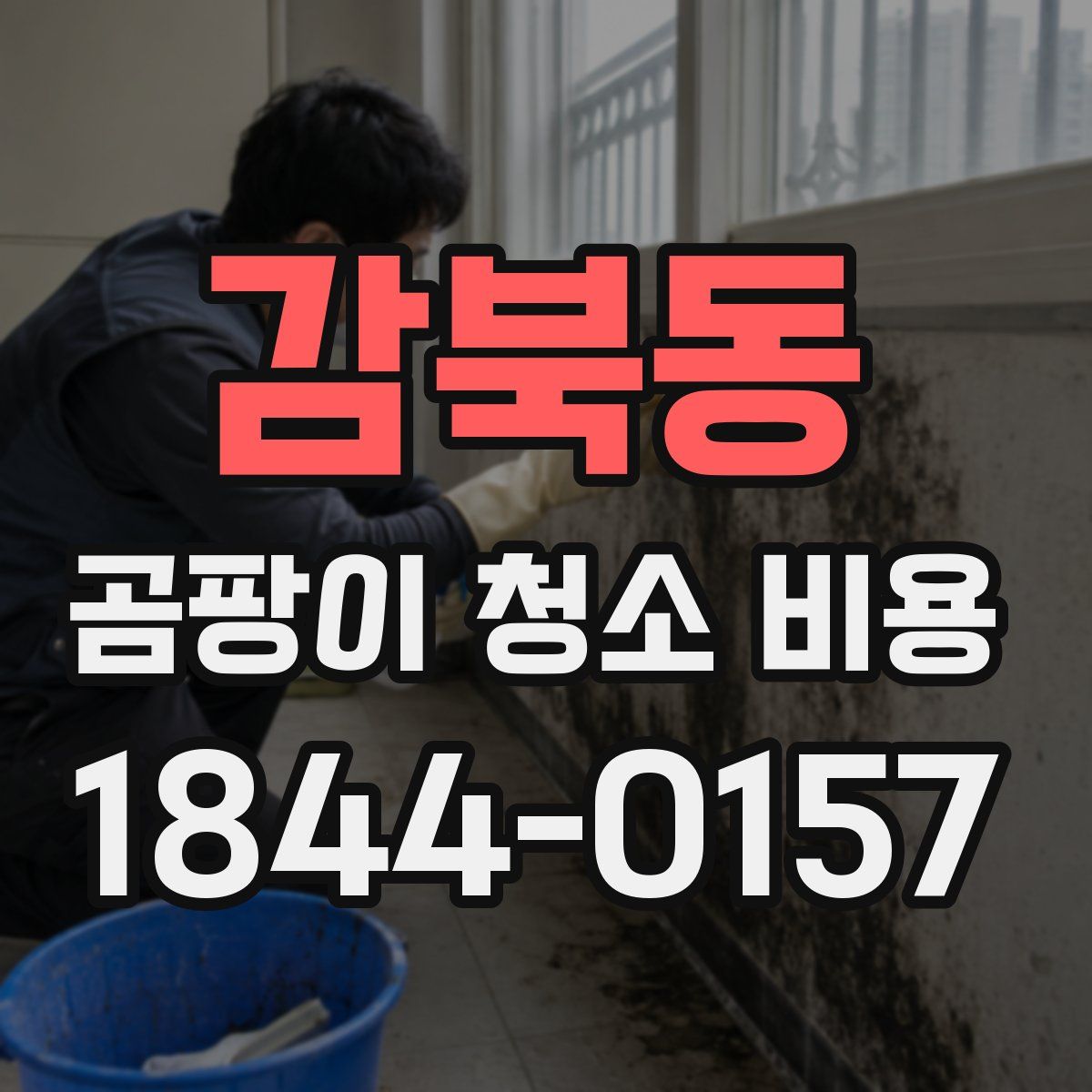 감북동 곰팡이 청소 비용