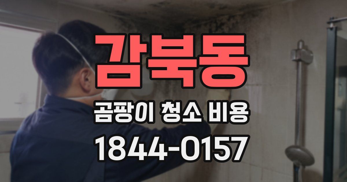 감북동 곰팡이 청소 비용