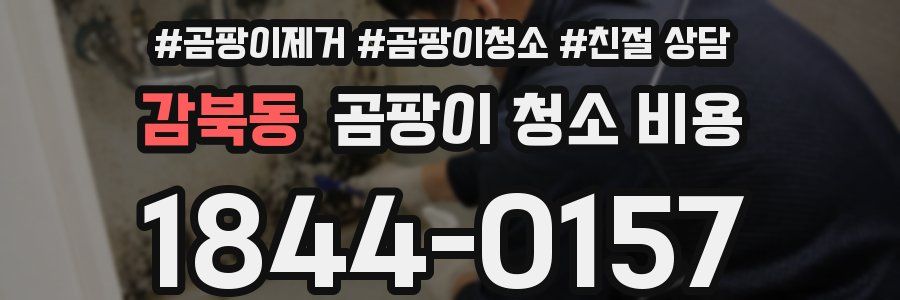 감북동 곰팡이 청소 비용
