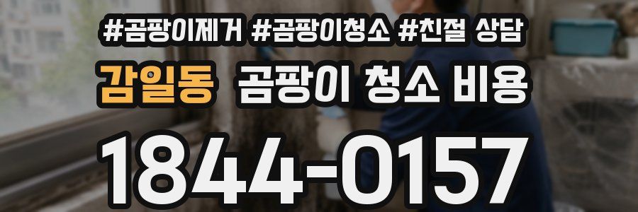 감일동 곰팡이 청소 비용