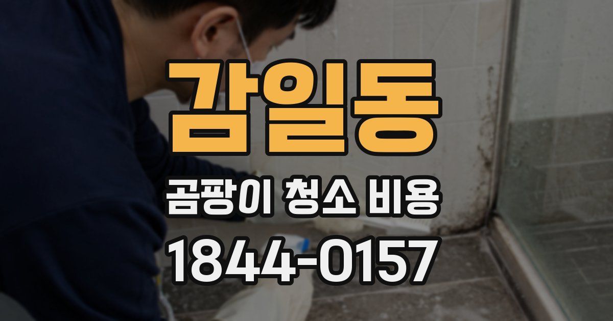 감일동 곰팡이 청소 비용