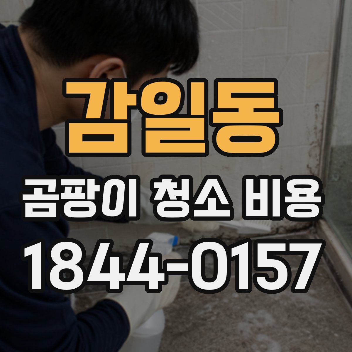 감일동 곰팡이 청소 비용