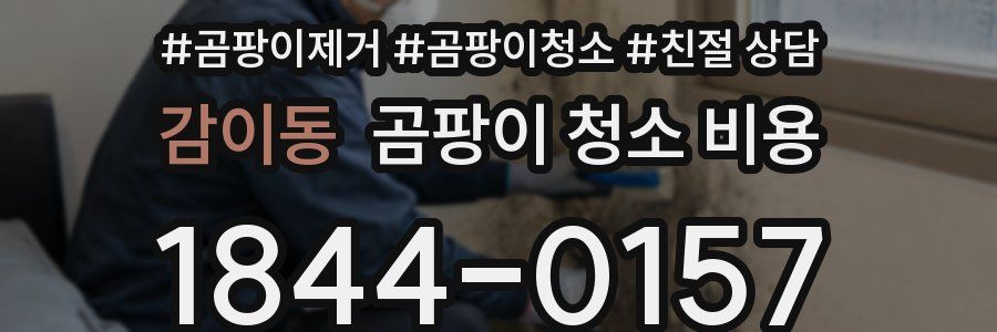 감이동 곰팡이 청소 비용