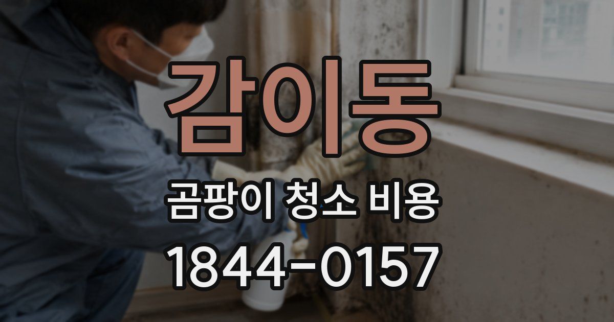 감이동 곰팡이 청소 비용