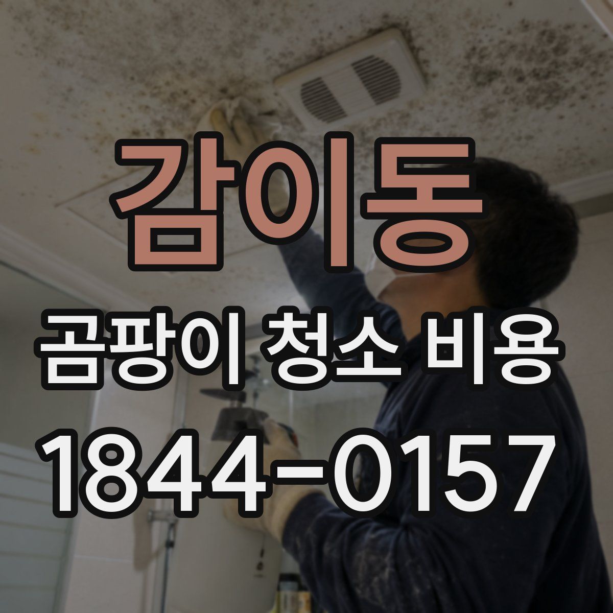 감이동 곰팡이 청소 비용