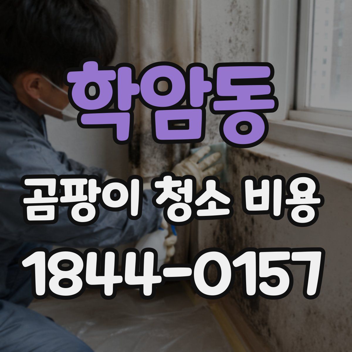 학암동 곰팡이 청소 비용
